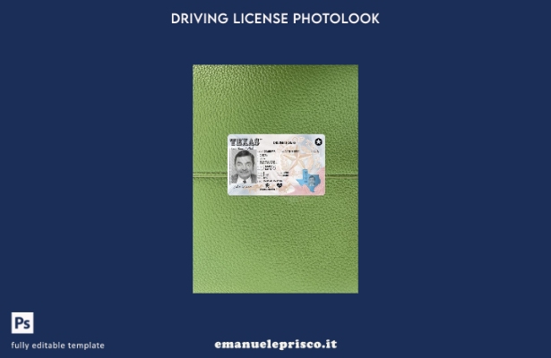stile verificato patente di guida USA Texas presente modello frontale photolook